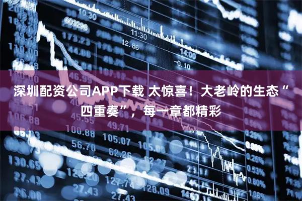 深圳配资公司APP下载 太惊喜！大老岭的生态“四重奏”，每一章都精彩